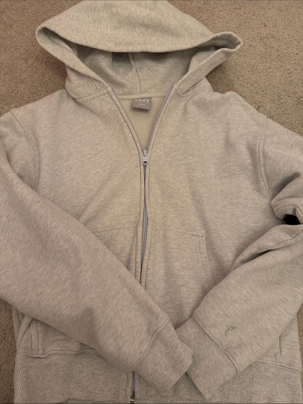 Aritzia Light Gray Full-Zip Hooded Windbreaker